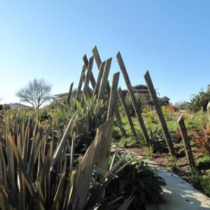 We are so lucky working in the beautiful country side of Oakura. In 2014 we have planted over 100 native flaxes on our studio side. Now fully grown, the flax walk can be enjoyed by our studio visitors on their way from the car park to the main entrance.