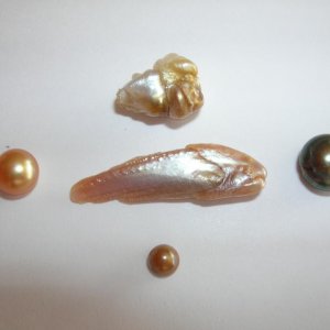 natural pearl form fish (4)