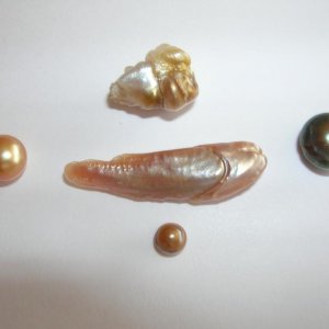 natural pearl form fish (5)