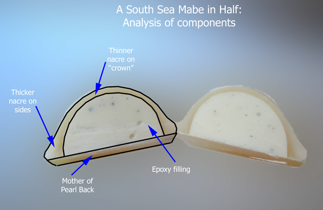 SS Mabe pearl cut in half