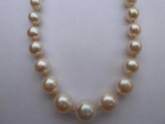 My Great Grandmother S Pearl Necklace Real Fake Approximate Value Please Pearl Guide Com