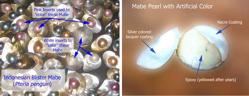 Mabe with Artificial Colorations
