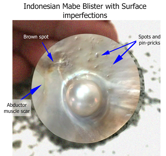 Blister Mabe pearl with many surface imperfections