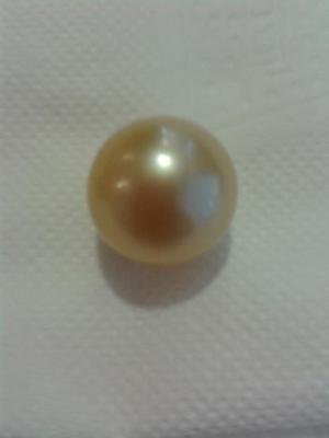 Our AAA Grade of Golden South Sea Pearls