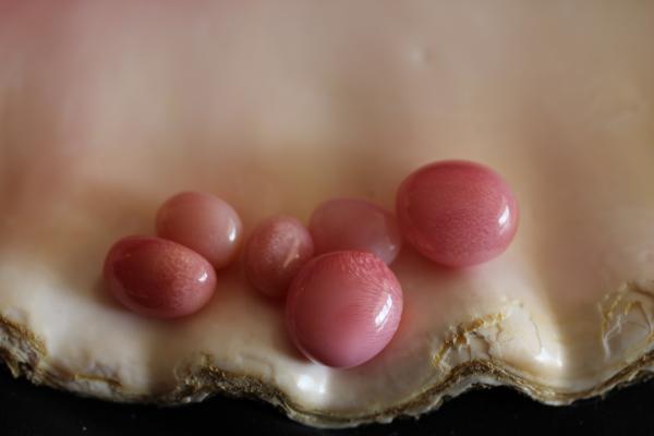 Selection of fine Conch Pearls